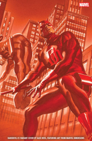 Daredevil, Vol. 9 #5B (Marvel Dimensions variant)