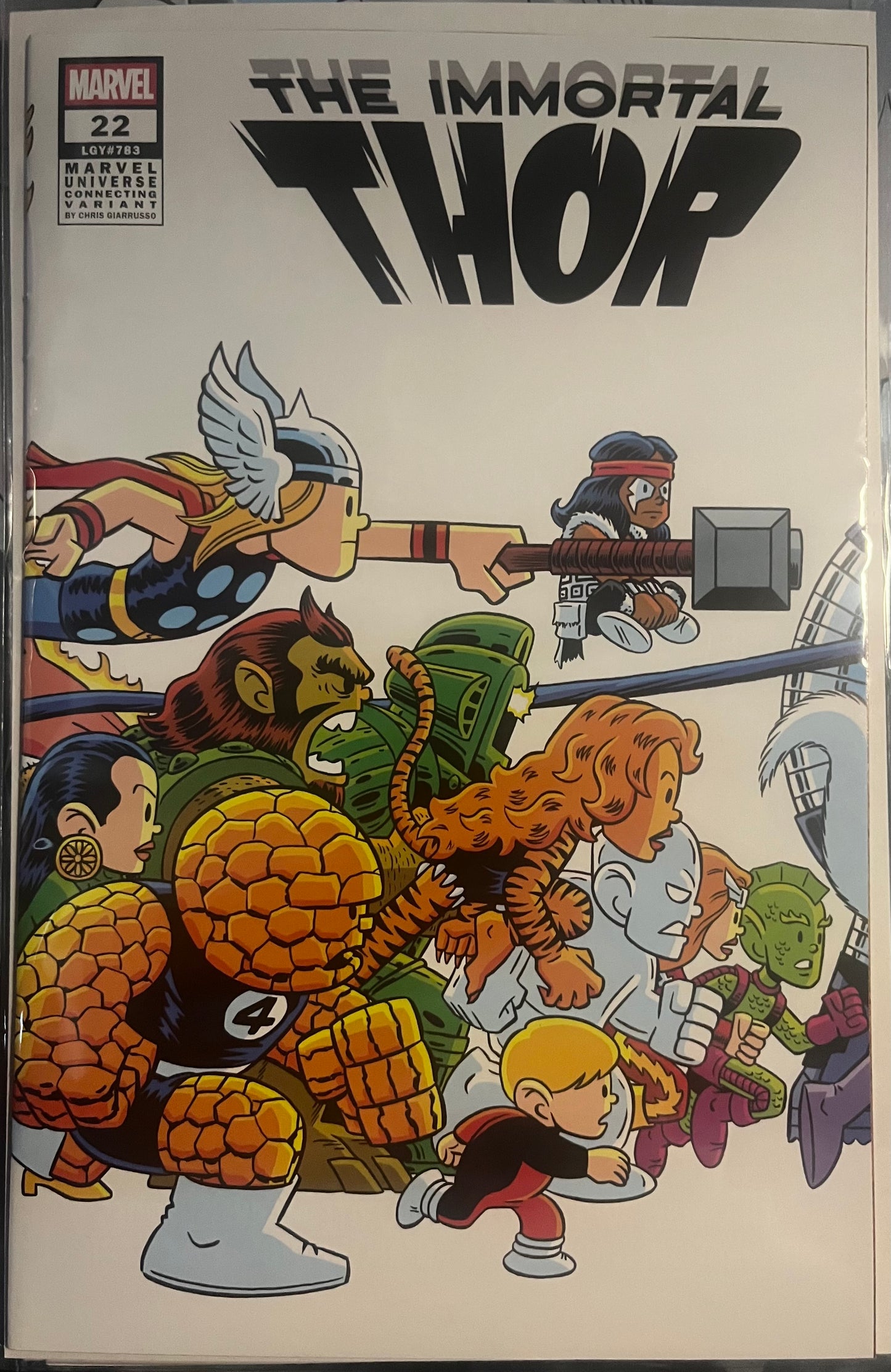 The Immortal Thor #22B (Marvel Universe connecting cover)