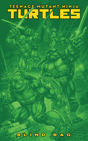 Teenage Mutant Ninja Turtles, Vol. 6 #13F (Blind Bag variant)