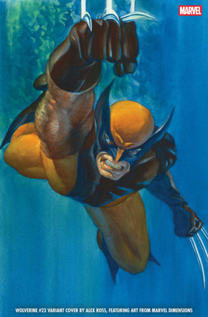 Wolverine, Vol. 8 #23B (Marvel Dimensions variant)