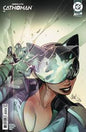 Absolute Catwoman #2C