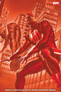 Daredevil, Vol. 9 #5B (Marvel Dimensions variant)