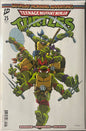 Teenage Mutant Ninja Turtles #25
