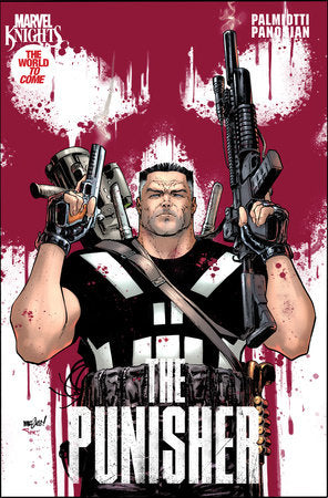 Marvel Knights: Punisher #1C