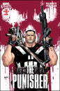 Marvel Knights: Punisher #1C