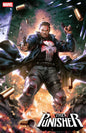 The Punisher, Vol. 15 #5C