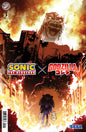 Sonic the Hedgehog X Godzilla #3B