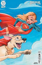 Supergirl, Vol. 8 #14D