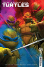 Teenage Mutant Ninja Turtles, Vol. 6 #17C