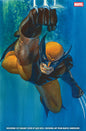Wolverine, Vol. 8 #23B (Marvel Dimensions variant)
